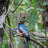 Costa Rica20150331-2051-0503